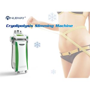 Buy cheap Munltifunctional high quality Cryolipolysis Slimming Machine from wholesalers
