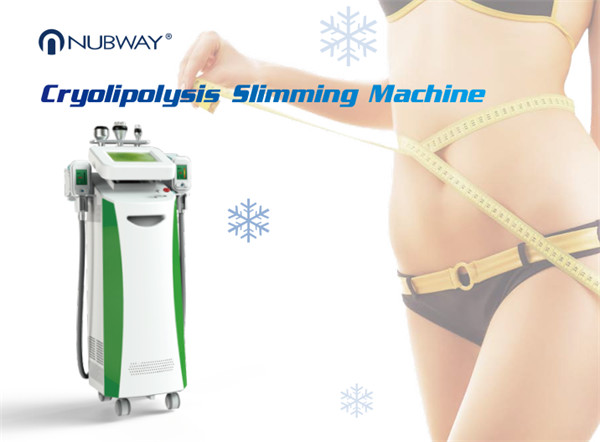 Buy cheap Munltifunctional high quality Cryolipolysis Slimming Machine from wholesalers