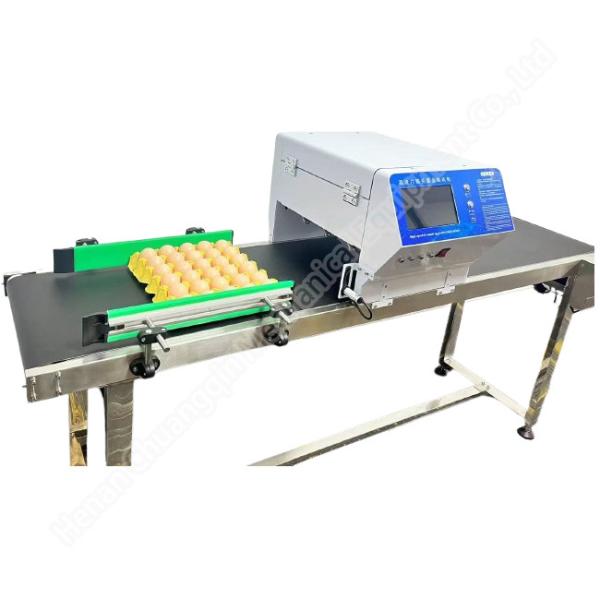 Quality Egg Inkjet Printer Domino Inkjet Printer For Eggs 40000eggs/H for sale