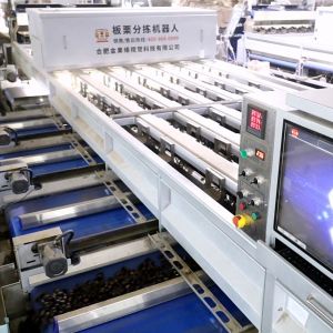 Buy cheap Inshell Chestnut Sorting Machine With 8 Different Qualities Discharge Ports from wholesalers
