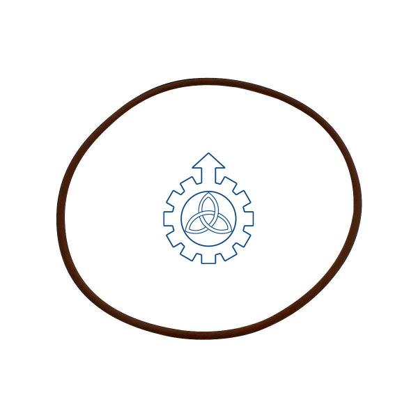 O-ring 17285681