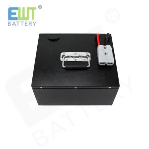 Buy cheap Compact Design 48V Lithium Iron Phosphate Battery with Fast Charging and High Capacity from wholesalers