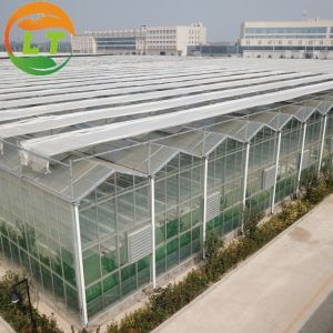 Buy cheap Plant Growth Multi-span Glass Skeleton Greenhouse with Customizable Length up to 50m from wholesalers