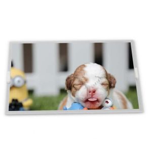 Buy cheap 20 Pins LVDS 10.4 Inch 1024*768 WLED Brightness 600nits TFT Lcd Modules TCG104XGLPAPNN-AN30-S from wholesalers