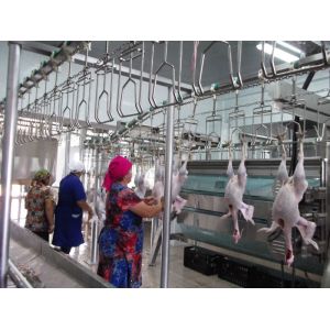 Buy cheap Customizable and Durable Poultry Processing Line with Stainless Steel 304 from wholesalers