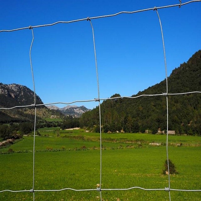 Buy cheap Factory supply is cheap Galvanized mesh roll Deer field farm fence from wholesalers