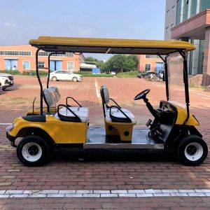 Low Speed Golf Cart Vehicle 4 Seater Lithium Bettery Free Shipping 4 Wheel Sell
