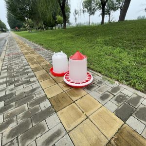 Buy cheap Freestanding Cylindrical Plastic Poultry Feeder With Accessories from wholesalers