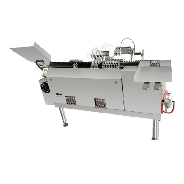 Quality Mini Plastic Ampoule Filling And Sealing Machine With Automatic for sale