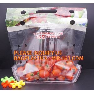 slider Zipper Top, Vest Handle Pouch Bags, Keep Fresh pouch Bag with air Holes