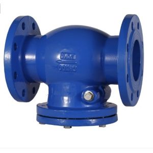 6 Inch / 8 Inch Ductile Iron CI PN16 Flanged Swing Check Valve for Customized