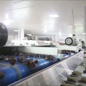 Buy cheap Optimize Your Output with Our High Capacity, AI Powered Chestnut Sorting Machine, Featuring 8 Lanes + 8 Outlets and Made from Durable 304 Stainless from wholesalers