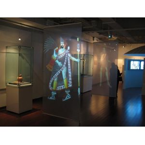 HD Holographic Rear Projection Window Film Transparent See Through Windon