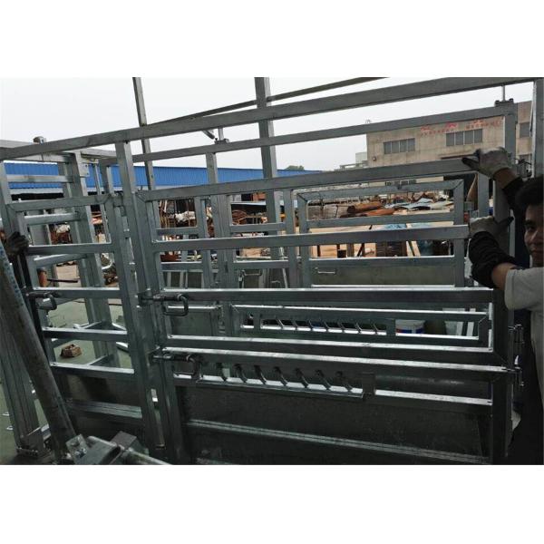 Buy cheap cattle crushes from wholesalers