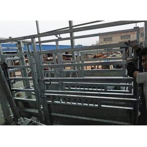 Buy cheap cattle crushes from wholesalers