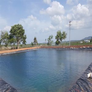 Geomembranes Project Solution Capability Durable Prefabricated Smooth for Fish