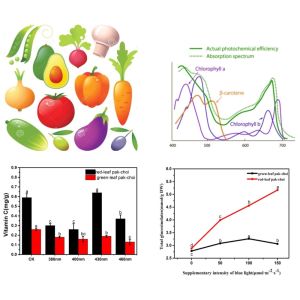 PPFD 60Hz 18w Vegetable LED Grow Lights For Vertical Farming