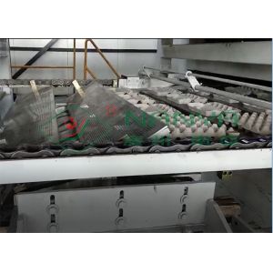 Buy cheap Rotary Automatic Egg Tray Machine For Carton Production Industry 4000Pcs / H from wholesalers