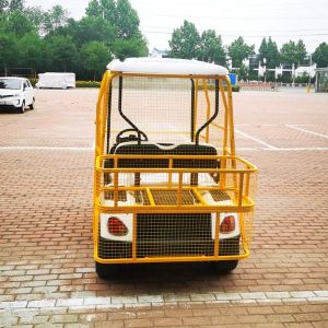 CAll Terrain Mini 2 Seater Golf Cart 2 Seats Customized