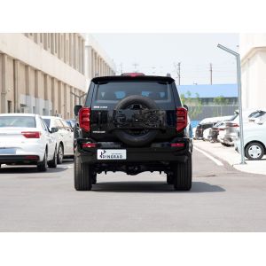 Good Condition New Version Adult Personal High Speed New Energy Hybrid EV Gas