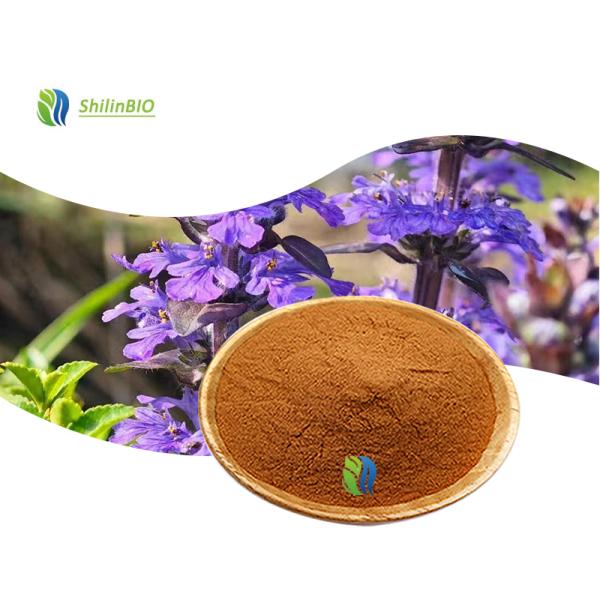 Buy cheap Ajuga Turkestanica Extract (turkesterone) from wholesalers