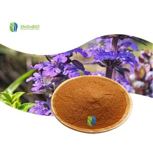 Buy cheap Ajuga Turkestanica Extract (turkesterone) from wholesalers