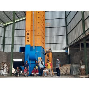 Buy cheap 12 Tons Rice Parboiled Paddy Dryer  Condition New from wholesalers