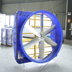 China REFINE Your Airflow with Terrui's 72 Industrial Circulation Fan on sale