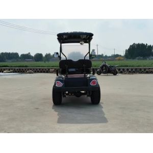 Buy cheap Golf Place 2 Seater Golf Cart With 3.9m Minimum Turning Radius And LCD Instrument Dashboard from wholesalers