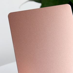 Sandblasted Bead Blasted Color Decorative Stainless Steel Sheet For Wall Panels