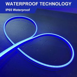 Cuttable 12V Neon Flex LED SMD2835 neon lED flexible strip light IP65 Waterproof