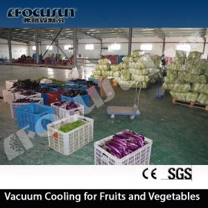 Buy cheap PLC Controlled Industrial Water Chiller for Long-Term Vegetable Preservation and Cooling from wholesalers