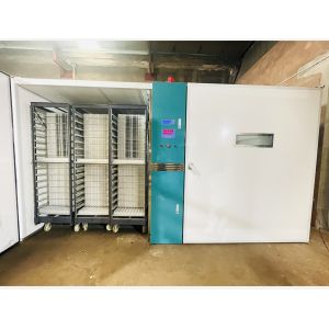 Buy cheap Microcomputer Controlled Single Stage Incubator With ±0.5°C Temperature Accuracy from wholesalers