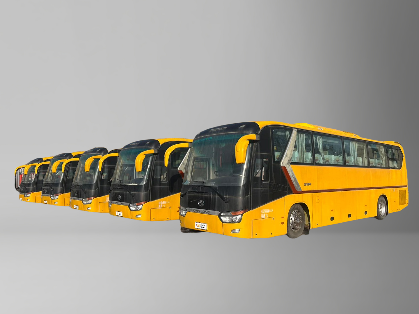 Buy cheap Five Second-hand Yellow-bodied Golden Dragon Buses with 63 Large Seats and 8L Engine Capacity in Bulk from wholesalers