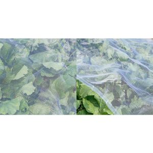 Buy cheap Insect-Proof Net, Crops Protection Net Against Insects And Pests from wholesalers