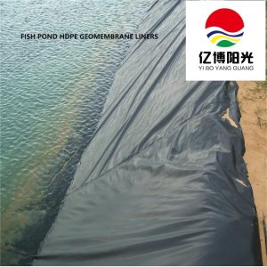 Buy cheap Made Blowing Machine Producing Waterproof HDPE Geomembrane with 100% Virgin Material from wholesalers