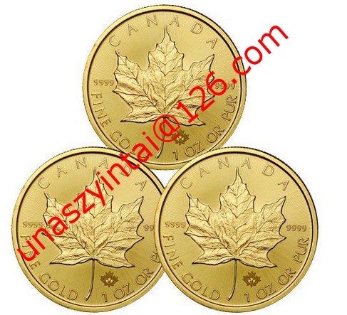 Investing In Canadian Gold Maple Leaf Coins