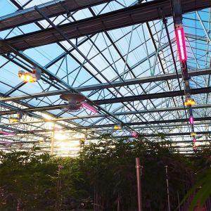 LED Light Deprivation Greenhouse With Shading And Security System