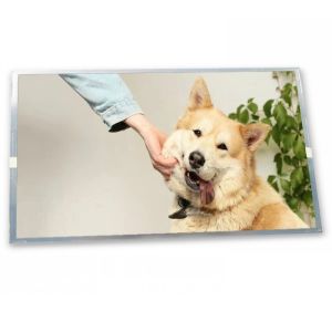 Buy cheap High Resolution 8.4-Inch stock Compatible WLED LCD Display Module 800*600 ODM TCG084SVLPAAFA-AA20 Modules from wholesalers