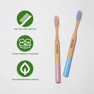 Buy cheap Eco Friendly BPA Free Biodegradable Bamboo Toothbrush With Soft Bristles from wholesalers