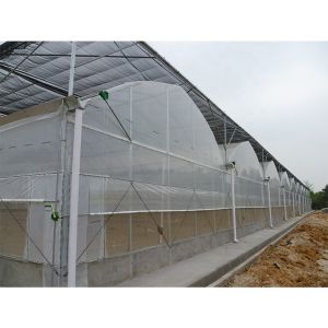 Buy cheap Multi Span Plastic Tunnel Greenhouse For Flower And Vegetable Hydroponic from wholesalers