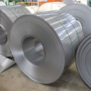 Buy cheap Cold Rolled 309 Stainless Steel Sheet 201 202 430 304 316 310 0.25mm 8K from wholesalers