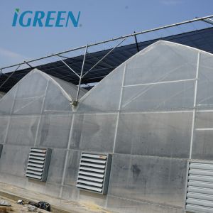 Buy cheap Tomato Growing Agricultural Equipment Roof Vent Free Multi Span Greenhouse from wholesalers