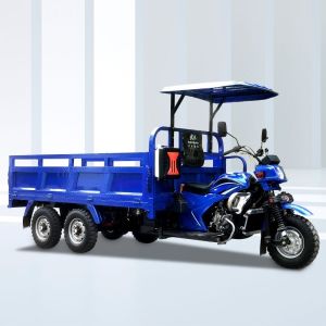 300CC/350CC Motorized Cargo Trike Motorcycle for Heavy Loading Made in Three