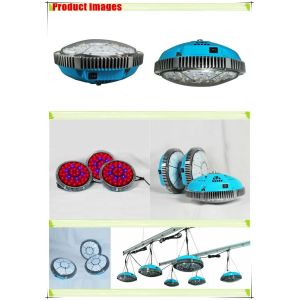 Buy cheap UFO led grow light 140 Watts for planting from wholesalers