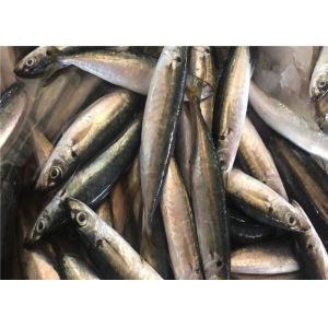 Buy cheap Decapterus Muroaji 60g 65g Fresh Frozen Mackerel For Bait from wholesalers