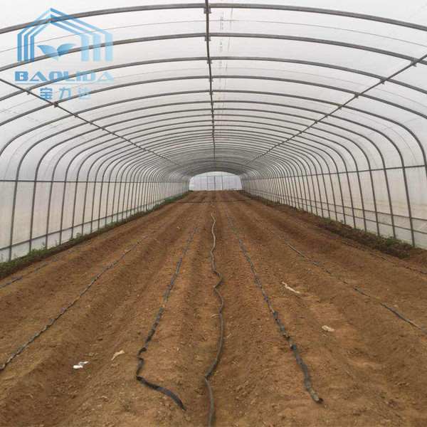 Quality Side Ventilation Plastic Single Span Tunnel Polyethylene Film Greenhouse for sale