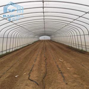 Buy cheap Side Ventilation Plastic Single Span Tunnel Polyethylene Film Greenhouse from wholesalers