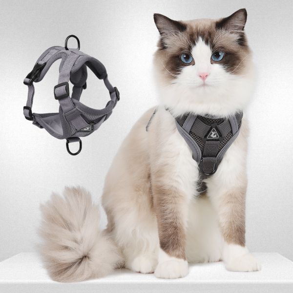 Buy cheap Small Cat Harness And Leash Standard Lightweight With Vest Style Design from wholesalers