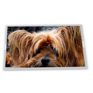 Buy cheap LM238WF2-SSP2 23.8 TFT LCD Display Modules Quality supplier supplier lcd panel orginal highly adaptive from wholesalers